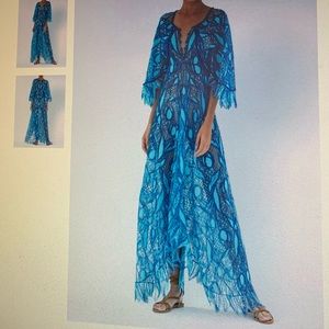 Alexis beautiful lace Diona dress